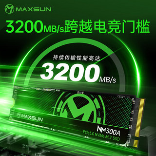 铭瑄（MAXSUN）256GB SSD固态硬盘M.2接口(NVMe协议) 3200MB/s 300A系列