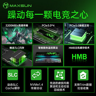 铭瑄（MAXSUN）256GB SSD固态硬盘M.2接口(NVMe协议) 3200MB/s 300A系列