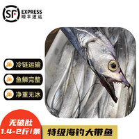 沢素湾春节年货 整条带鱼 高端海鲜礼盒 东海海捕新鲜特大无冰过年 1-1.4斤/条 10斤装【油脂丰厚，新鲜海捕】