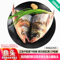 品鲜肴淡水鱼头生态花鲢鱼头胖头鱼头鳙鱼头渔民现捕鲜活鱼现杀生鲜水产 1.2-1.3kg(净膛重)现杀1只3斤