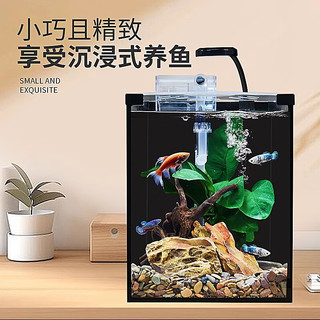 爬将军桌面斗鱼缸免换水超白鱼缸迷你小型家用客厅办公室生态懒人水草缸 30cm缸（带盖+灯+过滤）