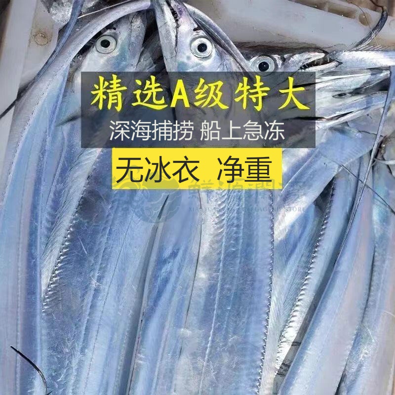 鲜源澜湾 精选整条带鱼新鲜无冰衣船冻特大东海带鱼国产刀鱼带鱼生鲜鱼类 整条净重无冰三斤装 独立包装【4-6两一条】