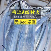 鲜源澜湾 精选整条带鱼新鲜无冰衣船冻特大东海带鱼国产刀鱼带鱼生鲜鱼类 整条净重无冰三斤装 独立包装【4-6两一条】