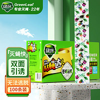 GREEN LEAF 绿叶 粘蝇纸粘蝇彩带条粘捕苍蝇灭蝇条70cm100条21256BZZ