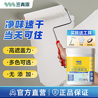 三青 内墙水性油漆涂料墙面漆补墙漆 白色 1.2kg 约12㎡