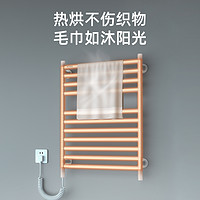 AVONFLOW 艾芬达 电热毛巾架家用免打孔智能卫生间加热烘干浴室置物架子GD19