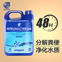 疯狂石头 水族养鱼硝化菌用品 鱼缸活性菌有益菌消化细菌