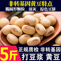 呆呆菇娘 非转基因黄豆5斤 新黄豆农家自种黄豆打豆浆笨黄豆