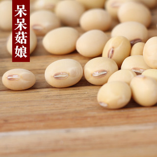 呆呆菇娘 非转基因黄豆5斤 新黄豆农家自种黄豆打豆浆笨黄豆