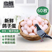 junxian 均鲜 新鲜鸽子蛋杂粮喂养农家特产白鸽蛋信鸽蛋孕妇宝宝儿童土鸽子蛋 60枚鲜鸽蛋