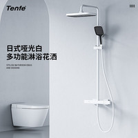 鼎菲鼎菲淋浴花洒套装铜淋雨卫浴沐浴器明装冷热增压枪灰色家用 A2哑光白