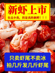 味必然 无冰衣龙虾尾鲜冻小龙虾冷冻生鲜不带冰特级大号10斤整箱批发虾球