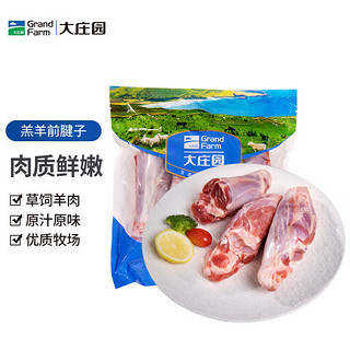 大庄园 进口带骨羔羊前腱子1kg 羊腿肉羊小腿 羊肉炖煮生鲜烧烤食材