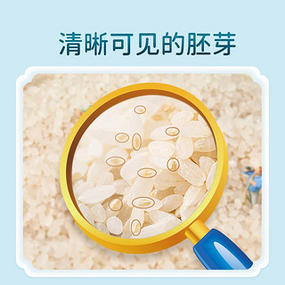 米小芽 儿童辅食大米粥450g_ 胚芽米4袋