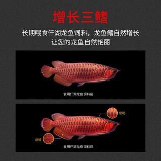 仟湖OFG2龙鱼饲料金龙鱼红龙鱼银龙鱼鱼食增艳水族鱼粮鱼食 G2傲深龙鱼饲料小粒500【加一包20g】