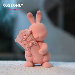 ROSEONLY 诺誓 THE PINK至亲挚友甜心兔玫瑰之舞永生花礼盒生日送女友情人节礼 甜心兔-粉色-康乃馨