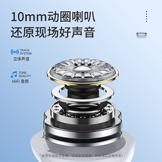 Newmine 纽曼 LY10 真无线蓝牙耳机 入耳式音乐耳机运动跑步超长续航通话降噪适用于苹果华为小米 LY10黑色