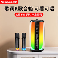  Newmine/纽曼 自带无线声卡 K歌音响 双麦克风