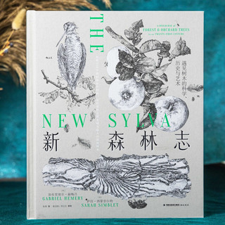 新森林志：讲述凝聚在树木中的生命历程，展现延续在森林里的人类文明