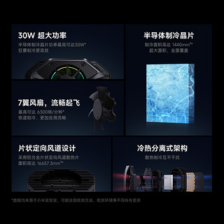 Xiaomi 小米 冰封散热背夹 Type-C