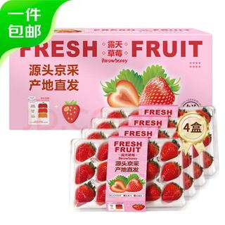 恰货郎大凉山奶油草莓新鲜水果红颜99牛奶油味 精选奶油红颜草莓 单果王27-40克 1斤装（含彩箱5斤起拍） 1盒11-12粒礼盒装300克