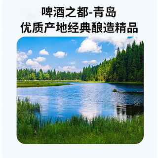 瑞井原浆精酿啤酒生黄啤鲜啤罐装超大瓶桶装青岛崂山特产原浆小麦 【13°P】精酿原浆10天鲜啤*3桶