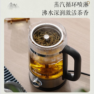 苏泊尔（SUPOR）养生壶 煮茶器1.2L大容量蒸汽喷淋式煮茶壶烧水壶 电热水壶花茶壶蒸茶器 SW-12C08【茶汤分离】 【四档旋控】1.2L喷淋煮茶