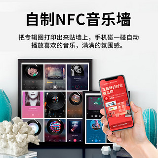 方康科技NFC标签芯片贴纸音乐蓝牙13.56M一碰传NTAG213防伪溯源 【NTAG213白标】直径25mm【2个】