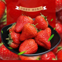 鹿唛红颜99草莓新鲜水果九九奶油草莓1斤拍3合并1箱3斤彩箱装 精品红颜99草莓 1斤彩箱装单果20-30g+