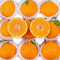正宗四川特级春见耙耙柑橘子18斤粑粑杷杷柑水果
