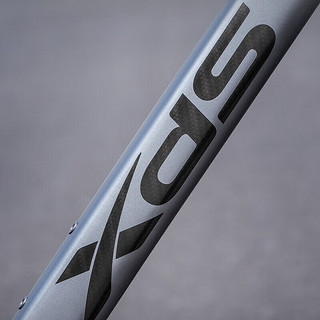 XDS 喜德盛 RS350综合公路车自行车成人16速全隐藏铝合金车架 深灰/450mm|155-165| 16