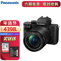 Panasonic 松下 DC-G100DGK数码相机 4Kvlog视频相机微单相机 G100DM(12-60)套机 标配