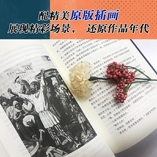 双城记（经典新读）