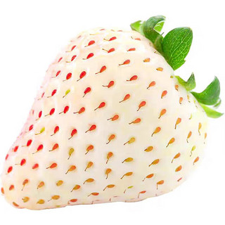 莫小仙淡雪白草莓奶油草莓天使淡雪草莓礼盒新鲜应季白雪公主 淡雪 草莓 一盒250克/20粒 两盒/一盒250克
