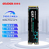 GUDGA 固德佳 GXF Pro M.2 NVMe 固态硬盘 512GB PCIe 4.0