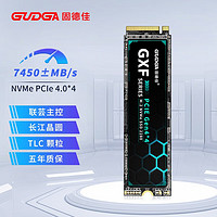 GUDGA 固德佳 GXF Pro M.2 NVMe 固态硬盘 512GB PCIe 4.0