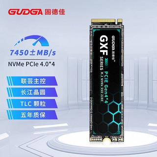 GUDGA 固德佳 GXF Pro M.2 NVMe 固态硬盘 512GB PCIe 4.0