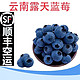  超大果 云南蓝莓 125g*6盒装 果径15-18mm+顺丰空运　　