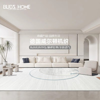 布迪思 BUDISI威尔顿机织地毯客厅轻奢加厚卧室房间沙发地垫办公室地毯可 安哥拉15 240*330CM
