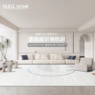 布迪思 BUDISI威尔顿机织地毯客厅轻奢加厚卧室房间沙发地垫办公室地毯可 安哥拉15 240*330CM