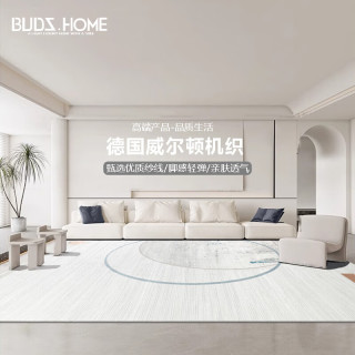 布迪思 BUDISI威尔顿机织地毯客厅轻奢加厚卧室房间沙发地垫办公室地毯可 安哥拉15 240*330CM