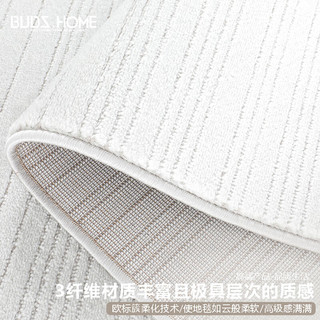 布迪思 BUDISI威尔顿机织地毯客厅轻奢加厚卧室房间沙发地垫办公室地毯可 安哥拉15 240*330CM