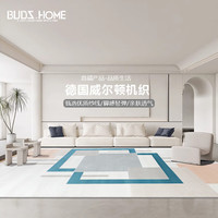 布迪思 BUDISI威尔顿机织地毯客厅轻奢加厚卧室房间沙发地垫办公室地毯可 安哥拉14 300*400CM