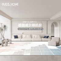 布迪思 BUDISI威尔顿机织地毯客厅轻奢加厚卧室房间沙发地垫办公室地毯可 安哥拉10 160*230CM