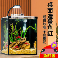 爬将军桌面斗鱼缸免换水超白鱼缸迷你小型家用客厅办公室生态懒人水草缸 20cm缸(带盖+灯)
