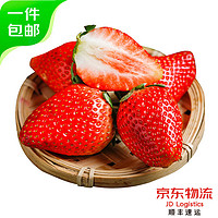 鑫果伴 双流红颜草莓 60枚装 单果20g-30g 2.5斤-3斤 新鲜采摘 源头直发