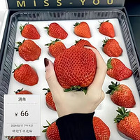 今日福利!2000箱 红颜草莓 净重2.5斤装