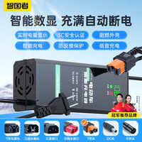 WITGOER智国者电动车电瓶车充电器数显智能48V20Ah通用雅迪爱玛台铃铅酸电池
