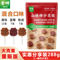 金晔 JINYE原汁原味陈皮蓝莓山楂棒分享共享实惠装348g克零食大礼包