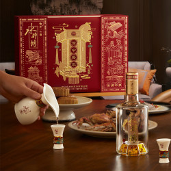 水井坊第一坊水井坊井台52度500ml2瓶礼盒装白酒送礼